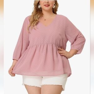Agnes Orinda Pink Chiffon Babydoll Long Sleeve Swiss Dots Blouse Size 4X NWT